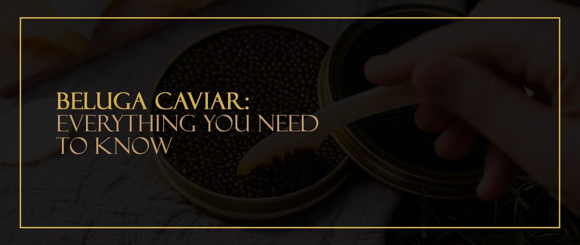 Beluga Caviar Everything You Need to Know