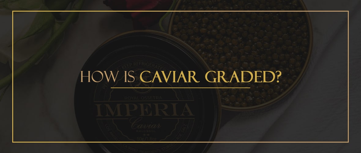 How is Caviar Graded?