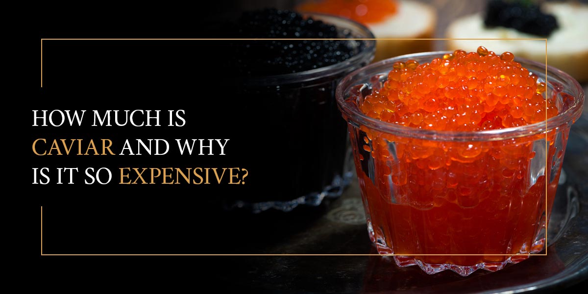 How Much Is Caviar and Why Is It So Expensive?