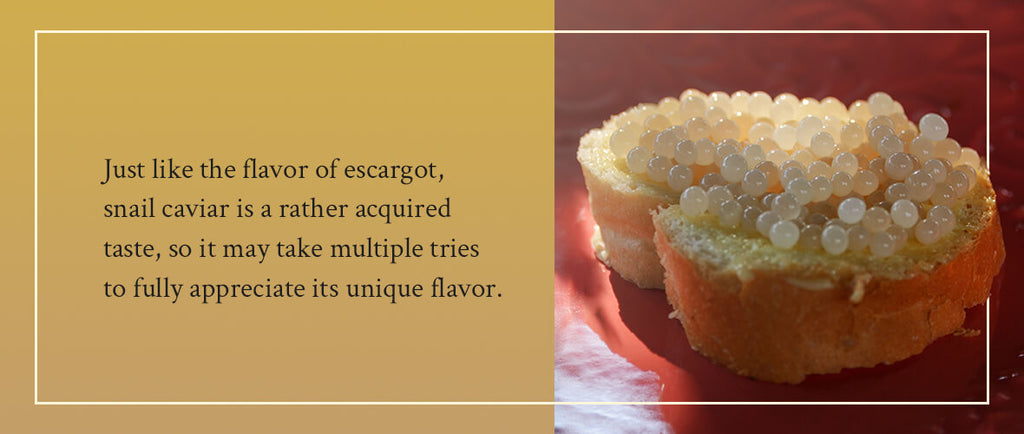 What does escargot white caviar taste like?