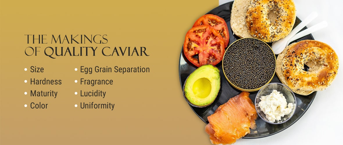 The Makings of Quality Caviar 