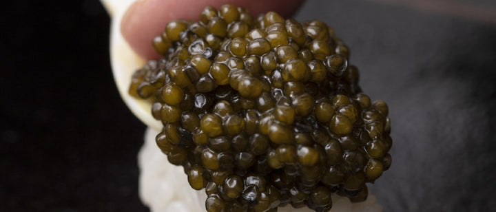 The Best Place to Buy Caviar