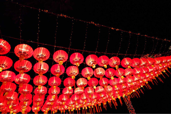 Lunar New Year Lanterns