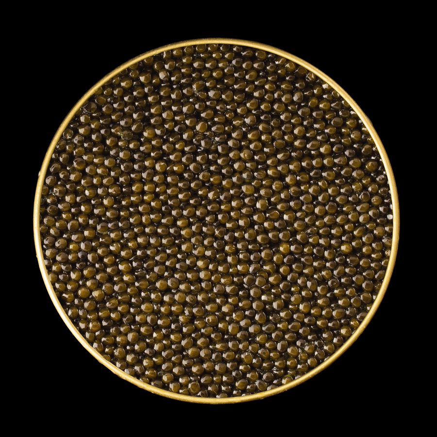 Royal Ossetra Caviar